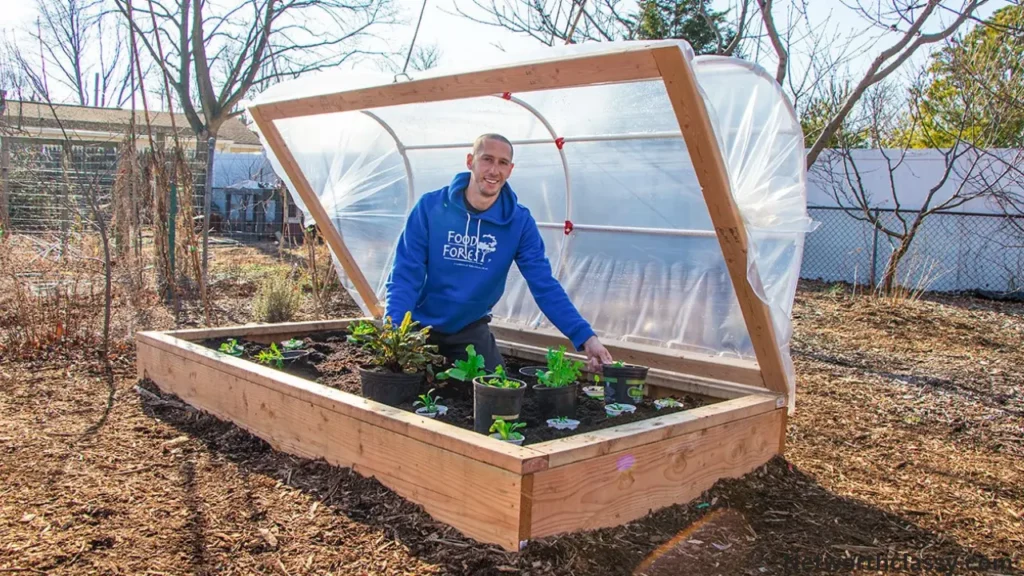 James Prigioni Net Worth: Wiki, Wife, Bio, Brother 4 James Prigioni's greenhouse farm